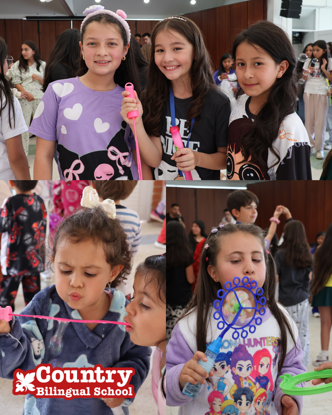 FIESTA BURBUJERA COLLAGE